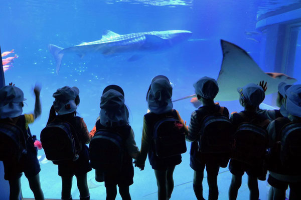 Osaka Aquarium