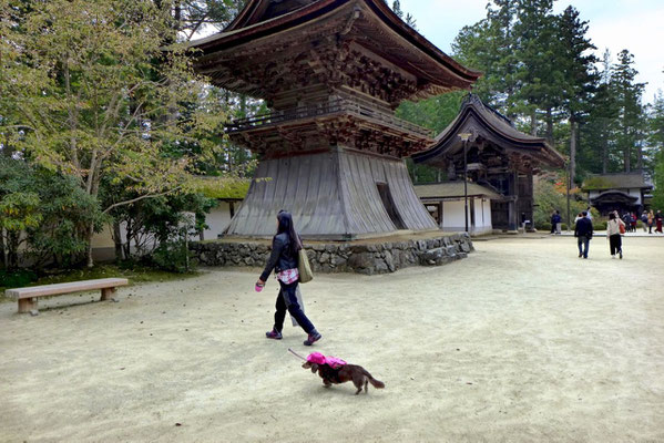 Kongōbuji Tempel in Kayosan