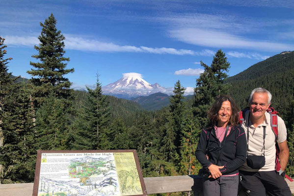 Rainier Viewpoint White Pass Scenic Byway (#12)