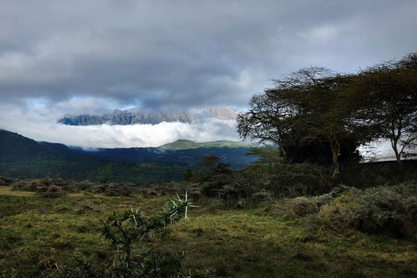 Ausblick von der Hatari Lodge auf die  Momella-Lichtung