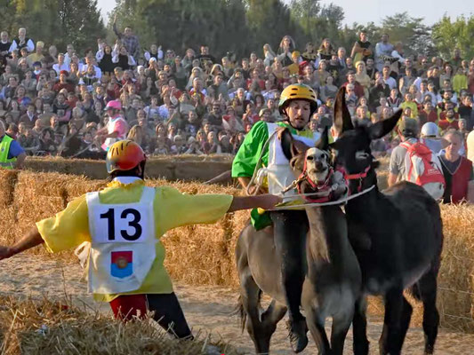 "Esel-Palio" Alba Palio degli Asini