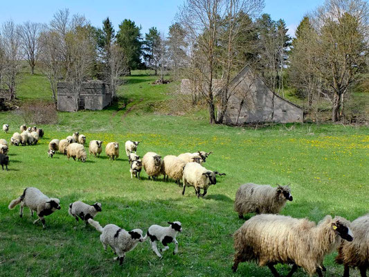 Kupres Bosnien