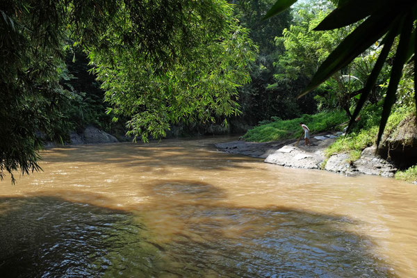 Ubud Ausflug