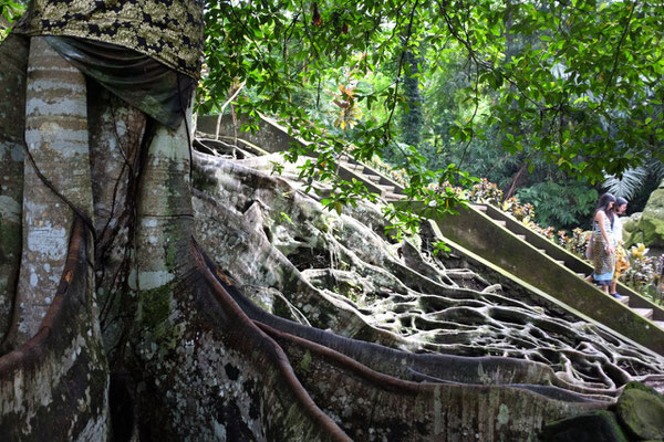 Goa Gajah Höhlenheiligtum bei Ubud