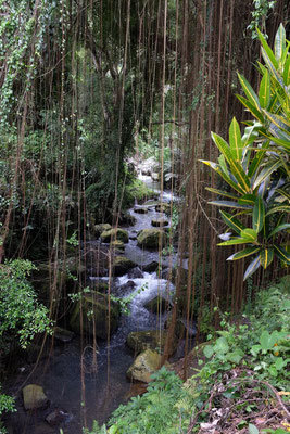 Dschungeltempel Gunung Kawi, Bali Ubud