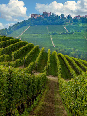 Dorf Novello Weinregion Piemont