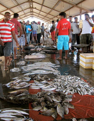 Fischmarkt Trincomalee, Sri Lanka