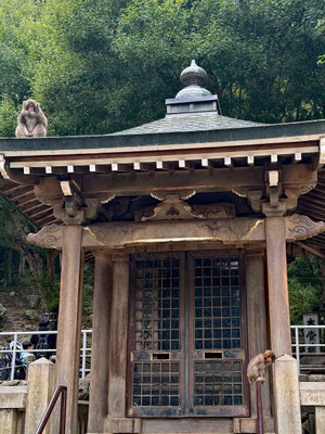 Takasakiyama Affen Park Beppu