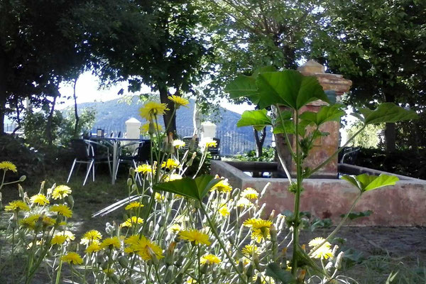 Pitres Restaurant-Tipp El Jardin del Mirador