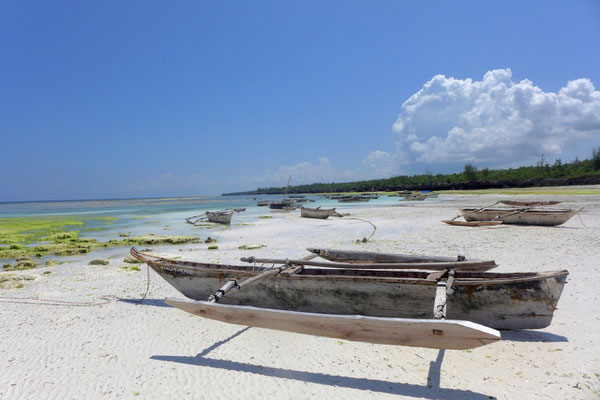 Strand nördlich von Matemwe, Ausgang unserer Schnorcheltour