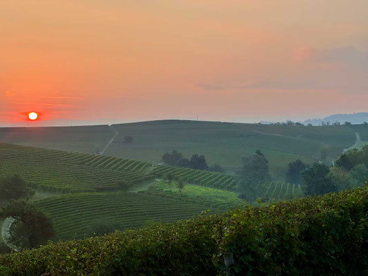 Ausblick 'Camping Sole Langhe' Piemont