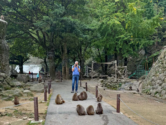 Takasakiyama Affen Park Beppu
