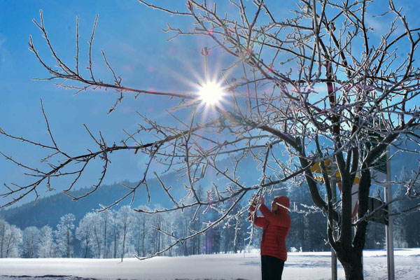 Winterwandern Saalfenden Leogang