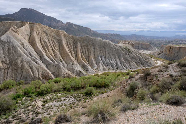 Wanderung durch den Desierto de Tabernas