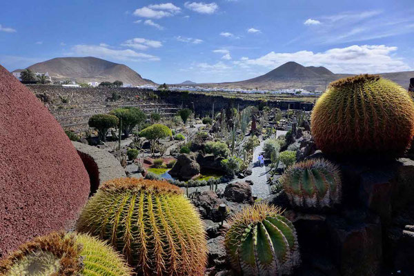 Cesar Manrique Jardin de Cactus Kaktusgarten Lanzarote Guatiza