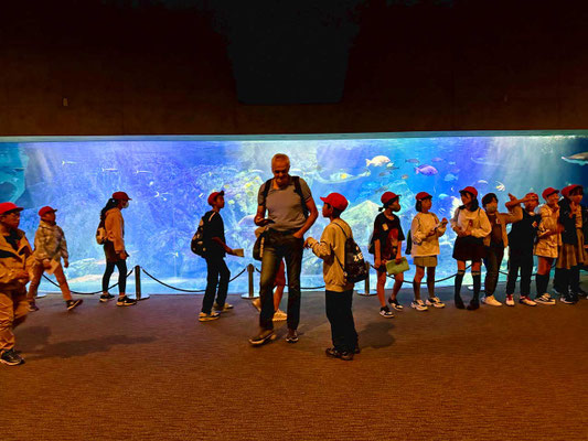 Great Migration Tank, Oita Marine Palace Aquarium 'Umitamago'