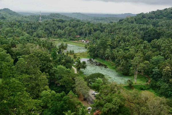 Sri Lanka Felsentempel Mulkirigala Ausflug Tangalle
