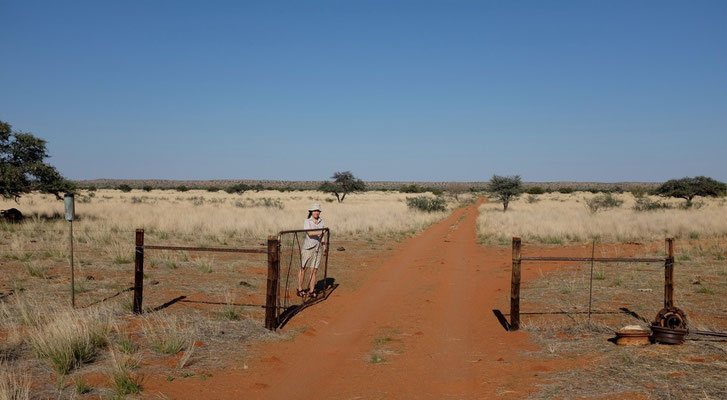 Durchs Farmtor zum Red Dune Camp, Kalahari Namibia