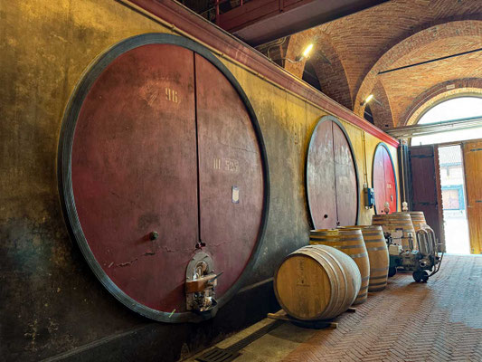 Betonfässer „Botti di Cemento“ Weinkeller Fontanafredda