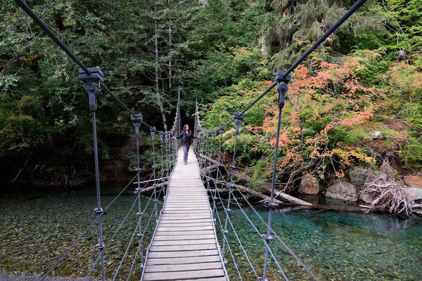 Hängebrücke - Grove of the Patriarchs Trail - Mount Rainier National Park