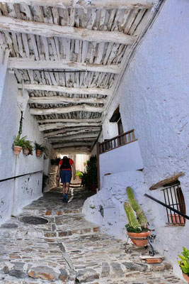 Pitres Dorf Alpujarra