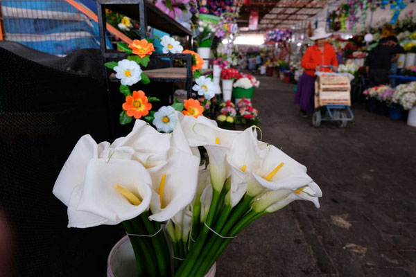 Marktbesuch in Arica