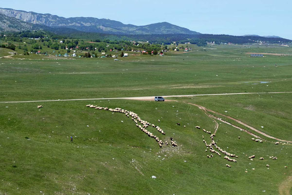 Steppe am Teufelssee Durmitor-Nationalpark