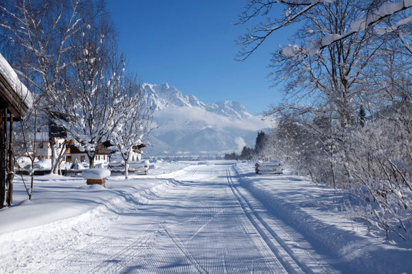 Langlauf-Lopien Saalfenden Leogang
