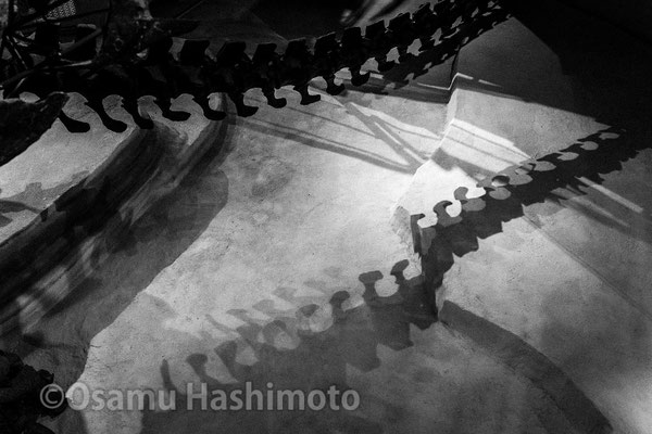 上野　国立科学博物館