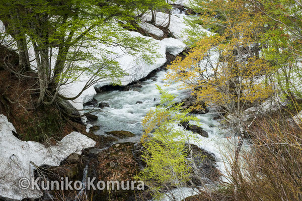 山形県　鳥海山山麓