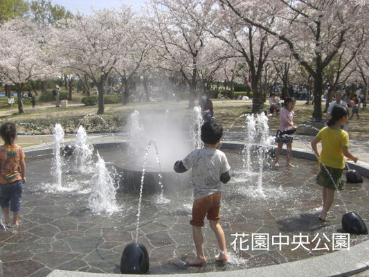 花園中央公園