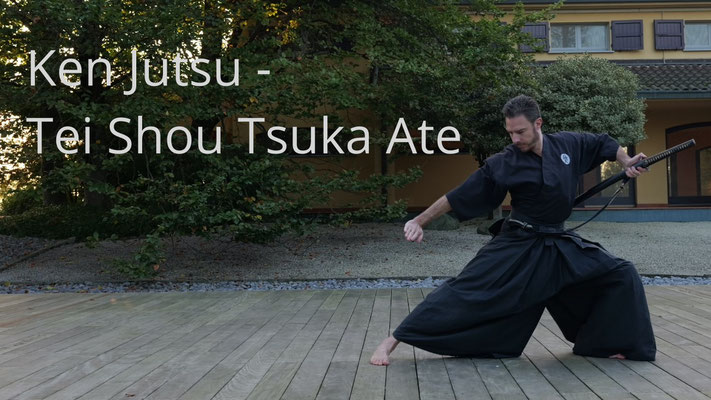 Ken Jutsu - Tei Shou Tsuka Ate - kata - Ai Jutsu