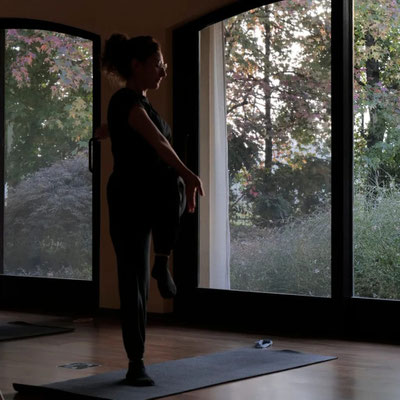 Yoga Shastra Lezionetramonto