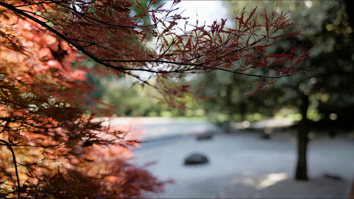 dojo maharishi sathyananda giardino zen pedana