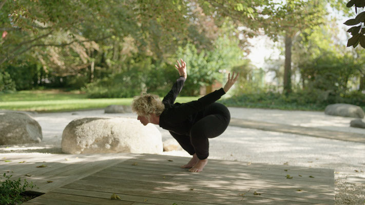 Yoga - shastra - hata yoga - arte - disciplina - dojo maharishi sathyananda
