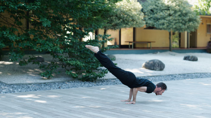 yoga posizione shastra hata pavone mayurasana