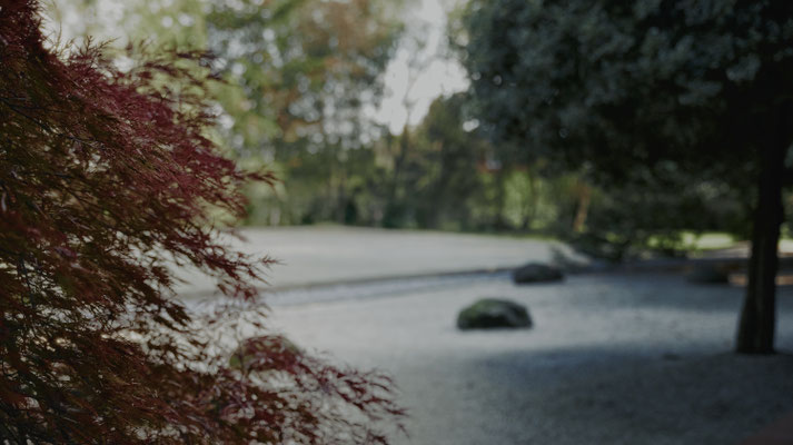 dojo maharishi sathyananda giardino zen pedana