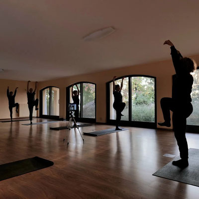Michel Brandolini Yoga Shastra Lezione