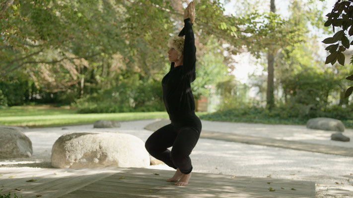 hata yoga - posizioni yoga - yoga pavia - asana