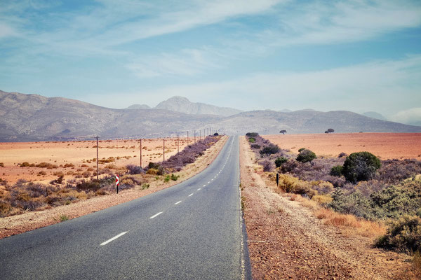 Long Road Desert