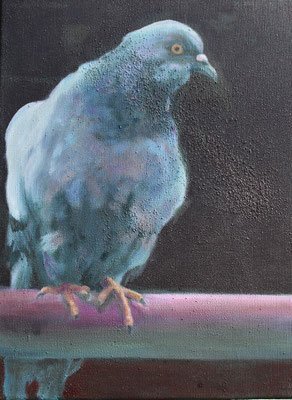 Taube II - 2022, Öl auf Leinwand, 40 x 30 cm
