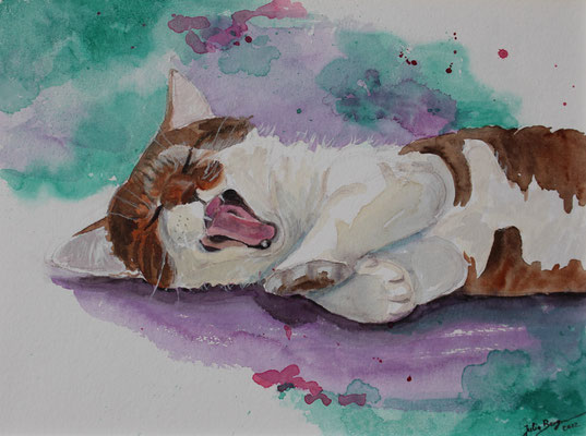 Katze III, 2022, Aquarell 30 x 40 cm - verkauft/sold