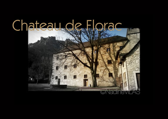 Chateau de Florac