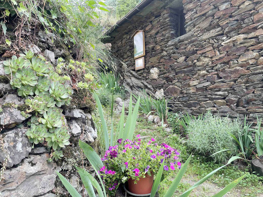 Gite de liou cévennes
