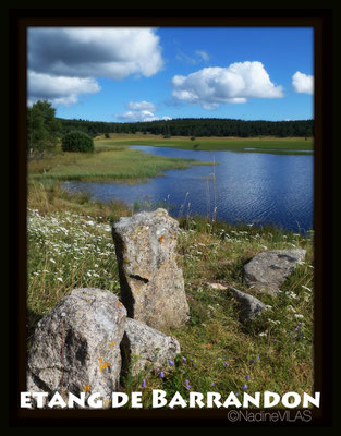 Etang de Barrandon