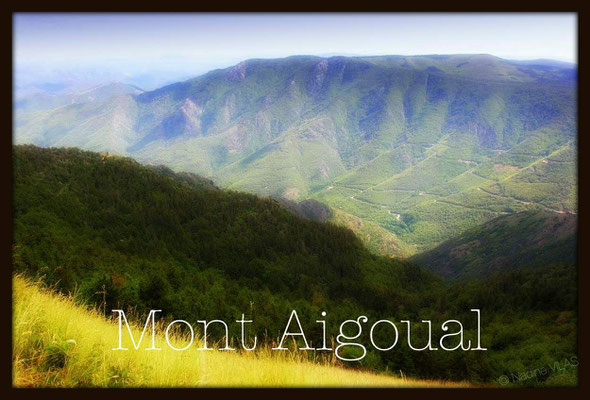 Mont Aigoual