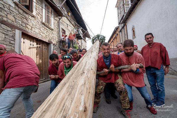 FESTA BELLA 2019 ~ SPELONGA - Alzata dell'albero - RisorgiMarche