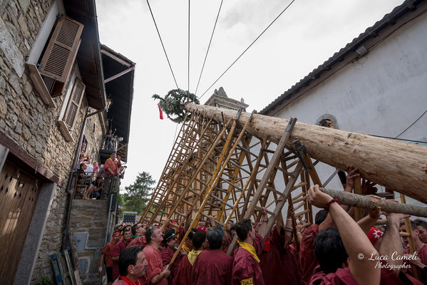 FESTA BELLA 2019 ~ SPELONGA - Alzata dell'albero - RisorgiMarche