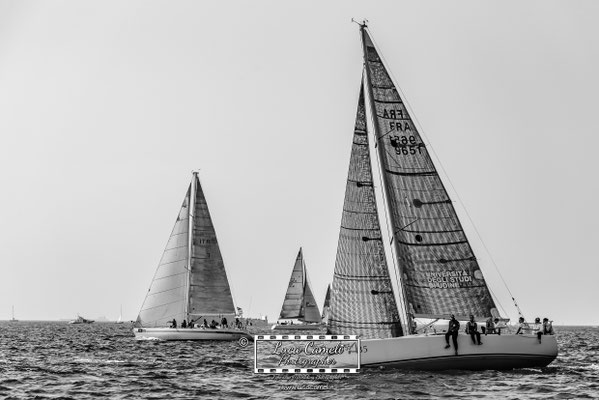Trieste - Barcolana50, Regata Barcolana. © Luca Cameli Photographer