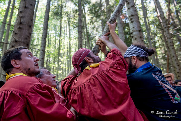 FESTA BELLA 2019 ~ SPELONGA - Taglio dell'albero - RisorgiMarche